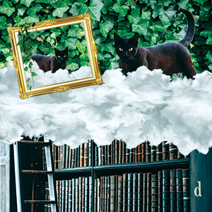 Collage of a library leading up to clouds with two black cats standing in the clouds in front of green foliage. One cat is seen in a decorative gold frame.