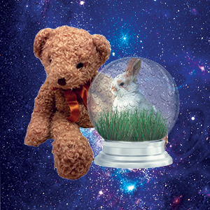 Teddy bear with a bunny inside a snowglobe on a space background.