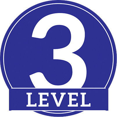 Level 3