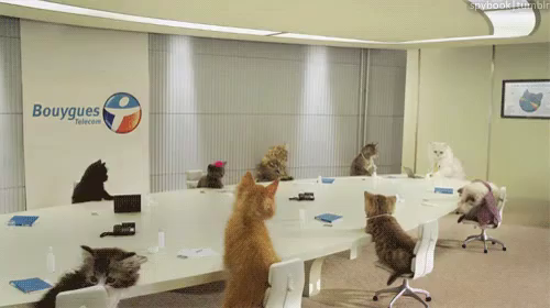 A group of cats in business attire sitting at a round-table