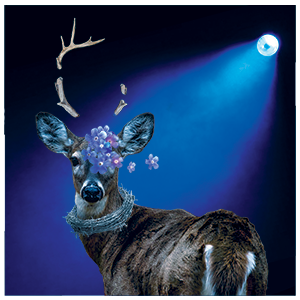 An image of a deer with detached antlers, barbed wire around its neck, and flowers covering its eyes.