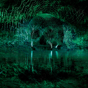 A digitally edited photo resembling a green swamp